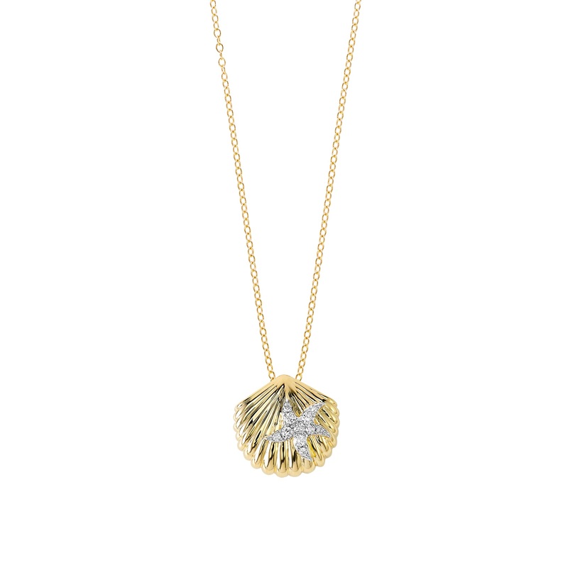 Island Vibes Scallop Shell & Starfish